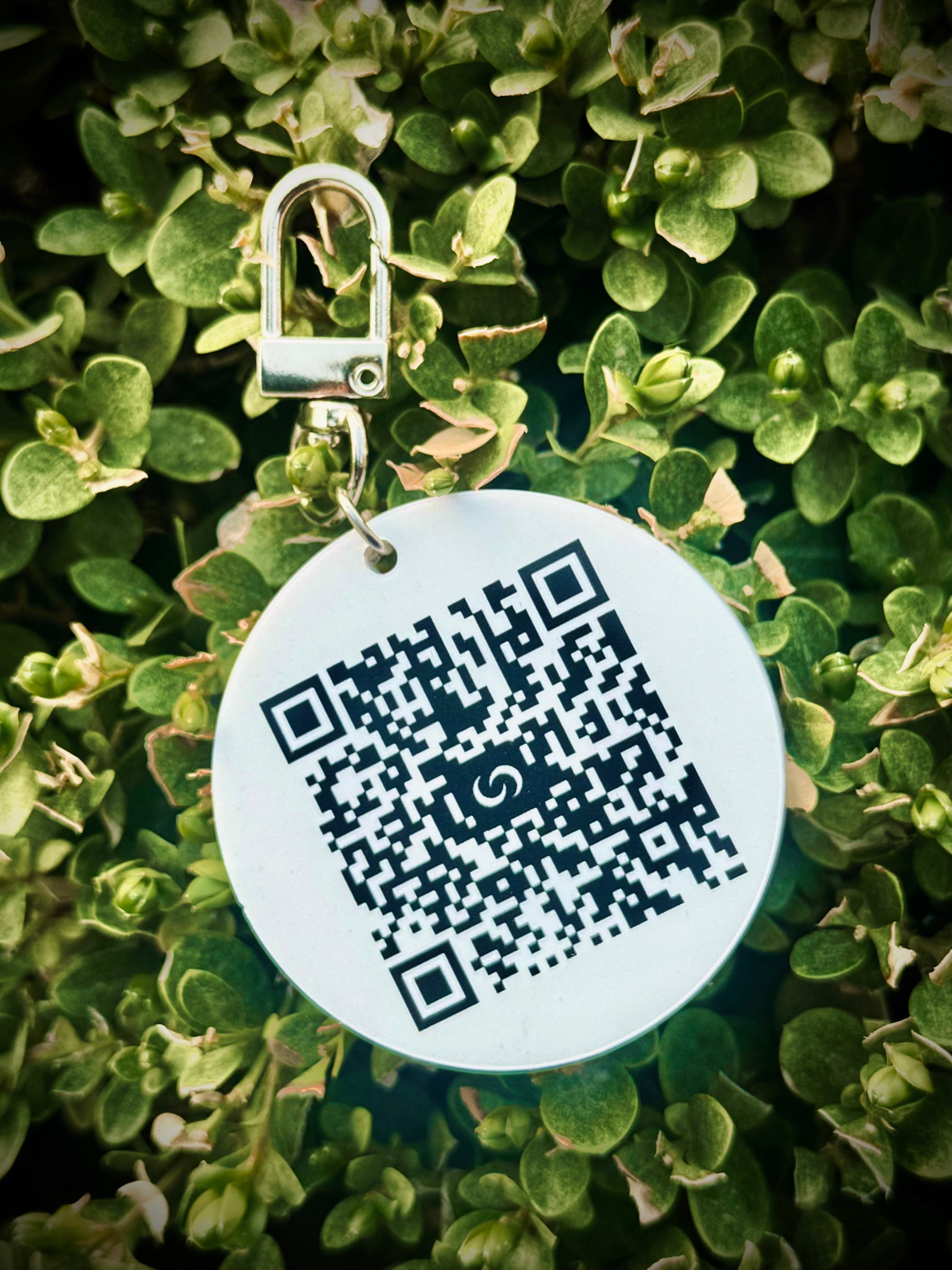 Smart NFC Keychain on a green plant background
