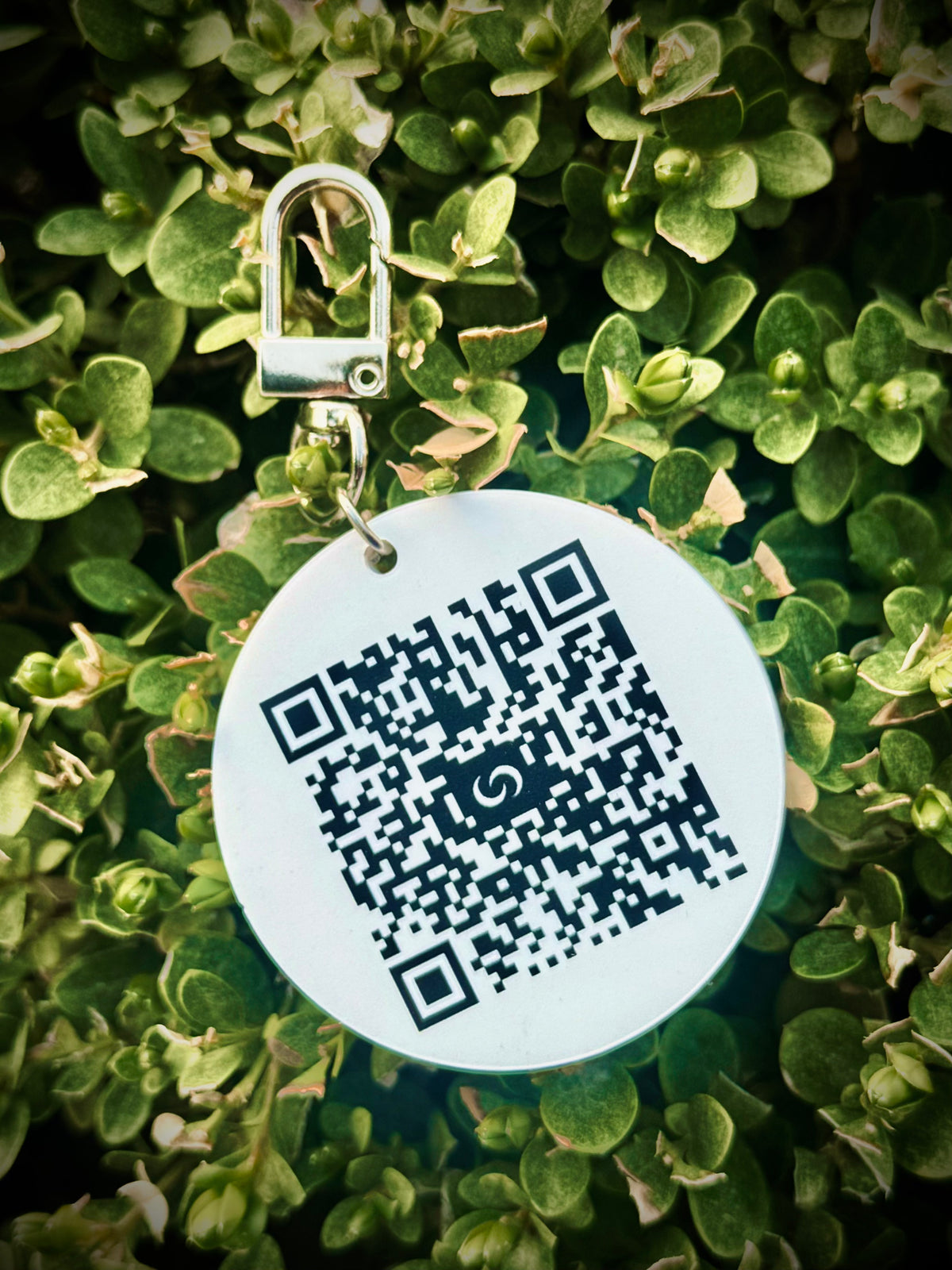 Smart NFC Keychain on a green plant background
